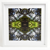 Sounds Native 1 - Small Mandala Print