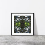 Sounds Native 1 - Giclée Fine Art Posters