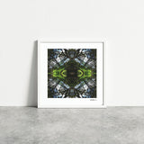 Sounds Native 1 - Giclée Fine Art Posters