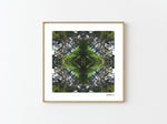 Sounds Native 2 - Giclée Fine Art Posters