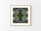 Sounds Native 2 - Giclée Fine Art Posters
