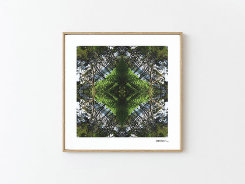 Sounds Native 2 - Giclée Fine Art Posters