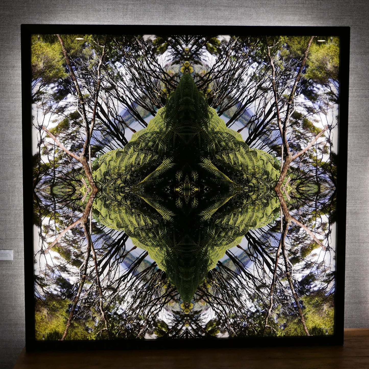Sounds Native 2 - Lightbox