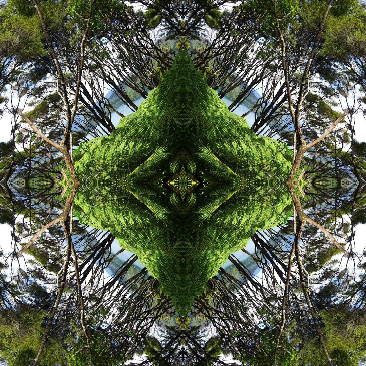 Sounds Native 2 - Lightbox