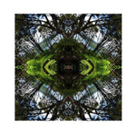 Sounds Native 1 Unframed