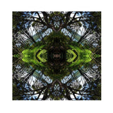 Sounds Native 1 Unframed
