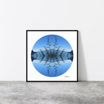 Taylors Harakeke - Giclée Fine Art Posters