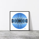 Taylors Harakeke - Giclée Fine Art Posters