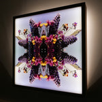 Taylors Floral 2 - Lightbox