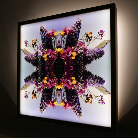 Taylors Floral 2 - Lightbox
