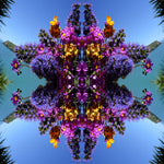 Taylors Floral 2 - Lightbox
