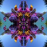 Taylors Floral 2 - Lightbox