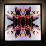 Taylors Floral 2 - Lightbox