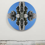 Te Kohanga Collection 1 #7 - Round