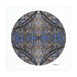 Cherry Blossom 3 - Giclée Fine Art Posters