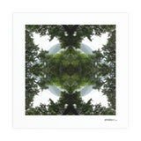 Native Lace - Giclée Fine Art Posters