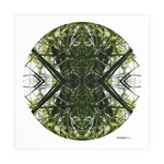 Jade Portal 1 - Giclée Fine Art Posters