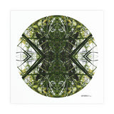 Jade Portal 1 - Giclée Fine Art Posters