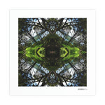 Sounds Native 1 - Giclée Fine Art Posters